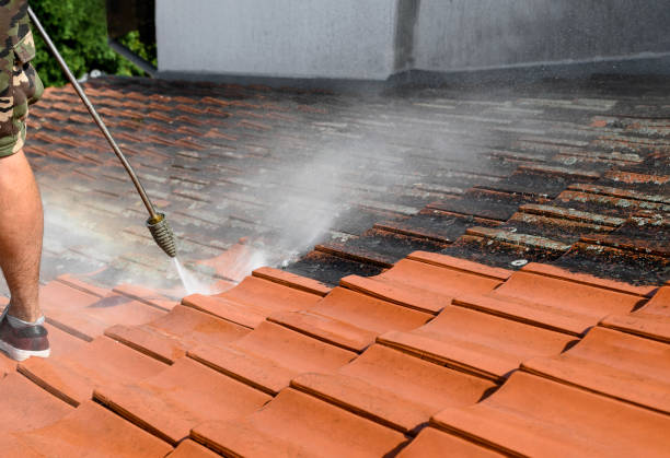 Best Residential Pressure Washing Services  in Rose Hills, CA